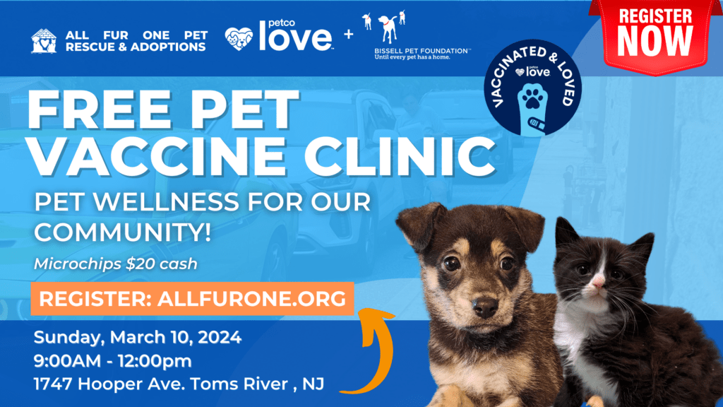 Pet best sale adoption clinics