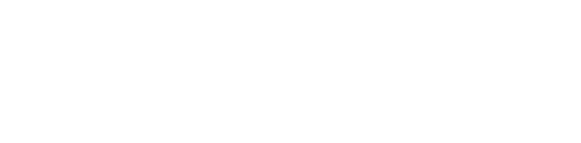 All Fur One Pet Rescue & Adoptions