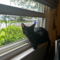 Kit