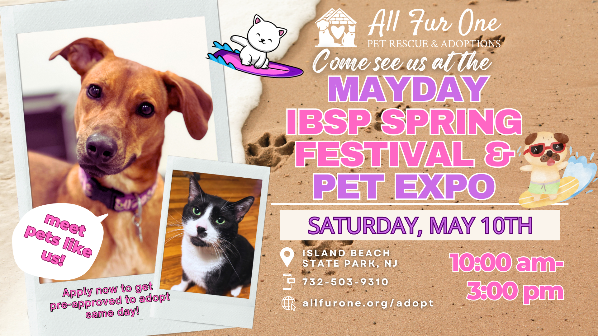 IBSP event