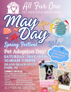 MayDay - pup up event, pup-up adoption event 46