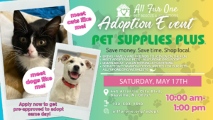bayville pets plus