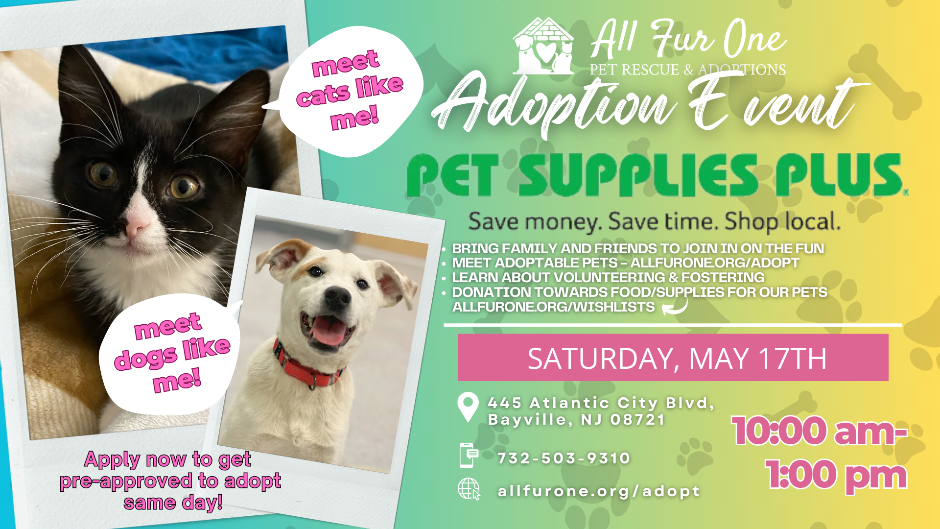 bayville pets plus