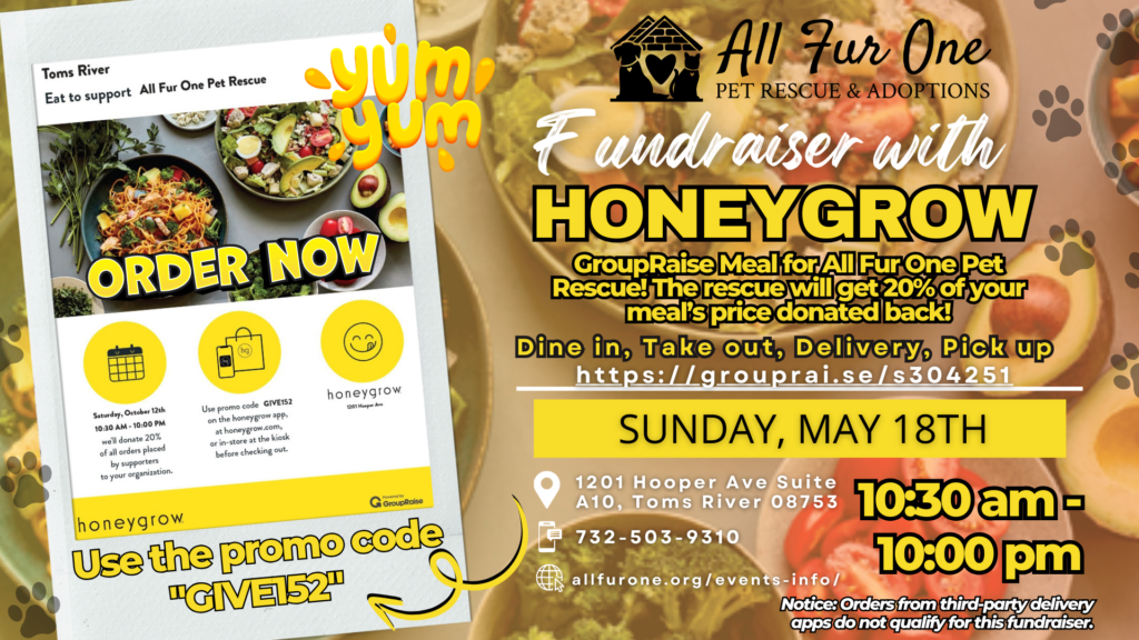 honeygrow fundraiser event (1)