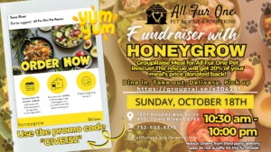 honeygrow fundraiser event