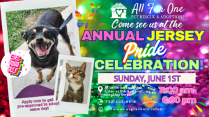 pride day event (1)
