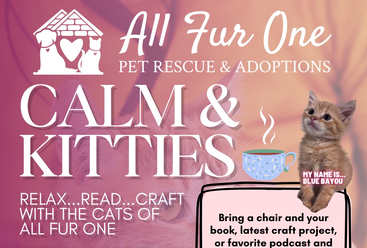 556841392_1228215875999574_6549557344669313238_n