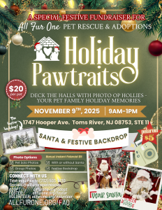 Dog Events Flyers 2025.zip - holiday pawtraits event