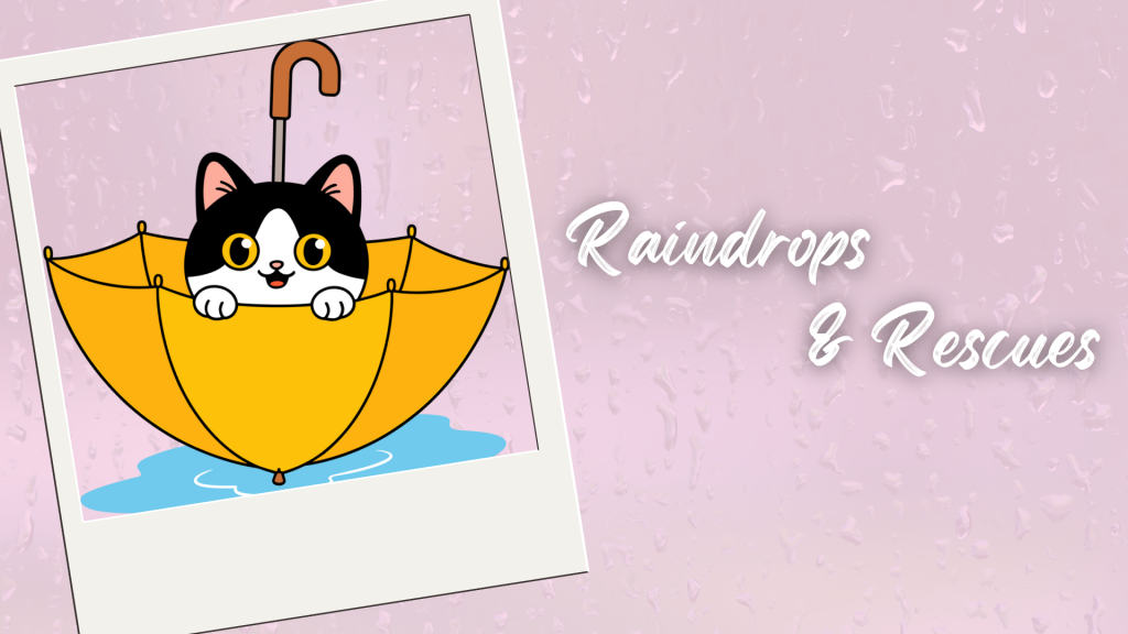 Allie Copy of 2025 EVENTS