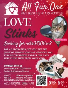 625437691_1327637076057453_4587105801073873335_n