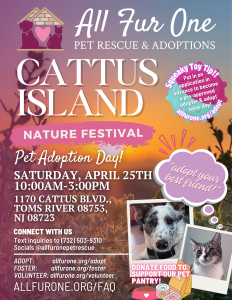 cattus island - pup-up adoption event 46