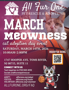 march meowness (1)